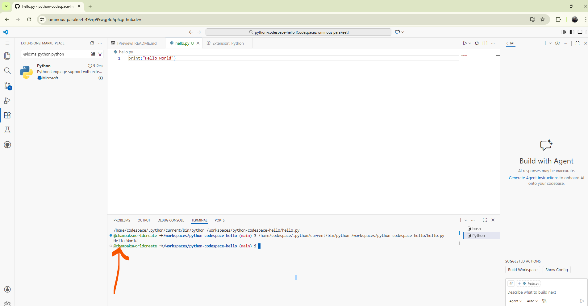 hello.py placeholder